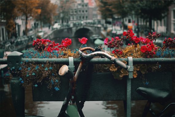 Amsterdam by Nick Scheerbart on Unsplash