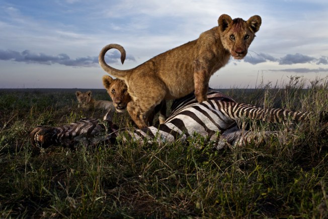 by National Geographic